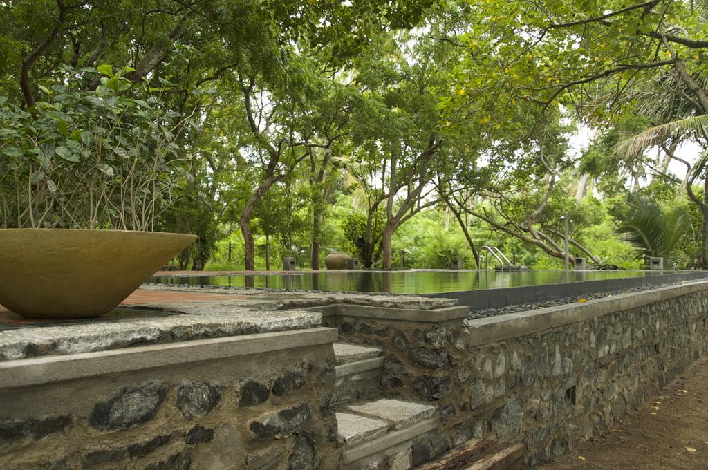 Lagoon House Rekawa Tangalle Extérieur photo