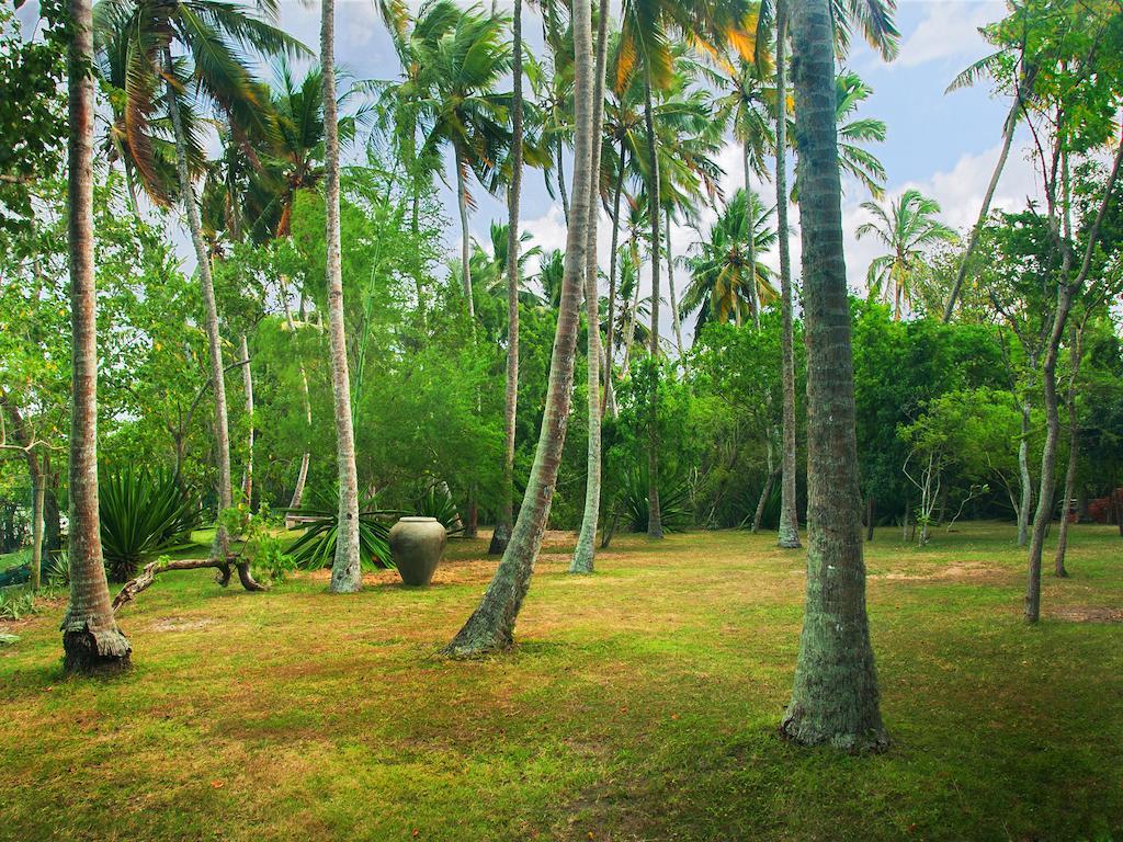 Lagoon House Rekawa Tangalle Extérieur photo